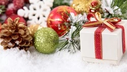 Сахалинцы сделали почти 25% дальневосточного трафика на сайт Поезда Деда Мороза