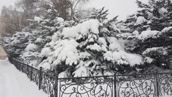 Погода в Южно-Сахалинске 8 декабря: слабый мороз и снегопад