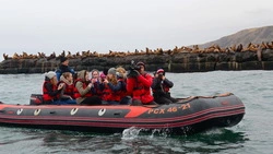 Члены общества глухих познакомились с сивучами в Невельске