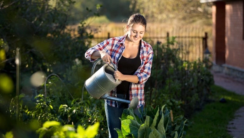 23 июля 2024 — Всемирный день китов и дельфинов, День дачника в России, Антоний Громоносец