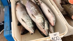 Путевки и борьба с браконьерами: на Сахалине обсудили рыбалку на симу