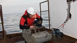 Ученые СахГУ взяли пробы океанской воды на наличие радиации после сбросов с «Фукусимы»