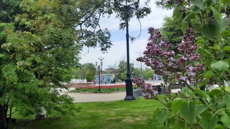 Облачно и по-летнему тепло будет в Южно-Сахалинске 18 июня