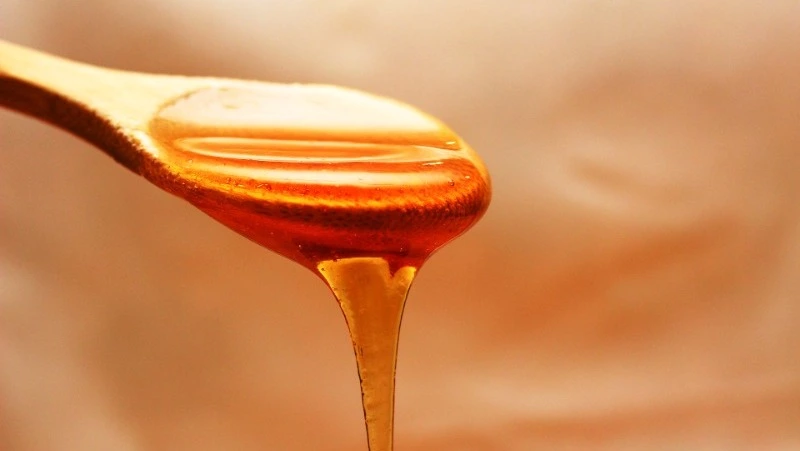 Пасека на «дальневосточном гектаре» обеспечит медом юг Сахалина