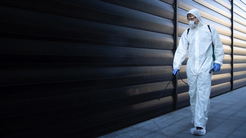 В Госдуме рассказали, как бороться с тараканами и мышами в многоквартирных домах