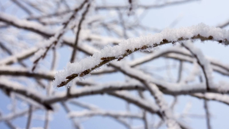 Церковный праздник 28 декабря 2023: что категорически нельзя делать в этот день