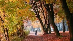 Непознанный наукой магнетизм