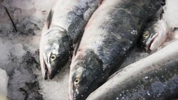 На водоемах Сахалина и Курил начала дохнуть рыба