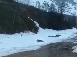 Горняки взорвали медведя в Якутии: приманкой стала кастрюля с едой