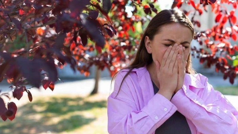 Жителям Сахалина рассказали об опасности бабьего лета для здоровья 