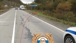 Три человека пострадали после съезда Toyota Corolla в кювет на юге Сахалина