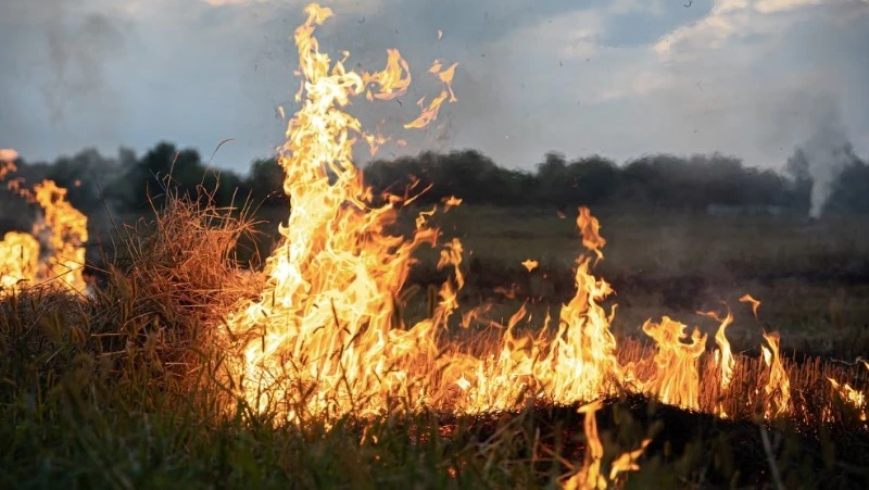 Огонь охватил около 3 гектаров сухой травы в двух районах Сахалина