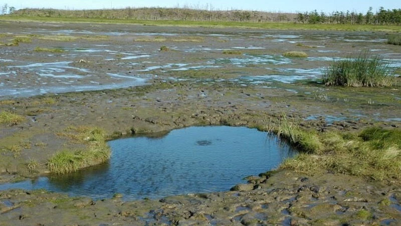 Инвесторы хотят вкладывать в Дагинские источники на Сахалине, но не могут