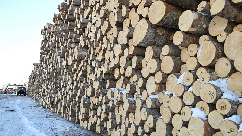 Сахалинское морское пароходство доставит в Японию 7 тыс. кубов леса