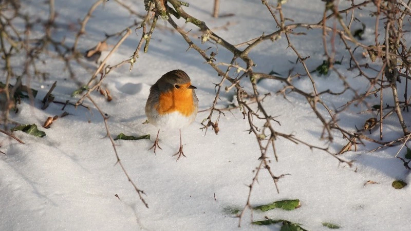 Приметы обо всем на 24 октября 2023 года: что можно и нельзя делать в этот день