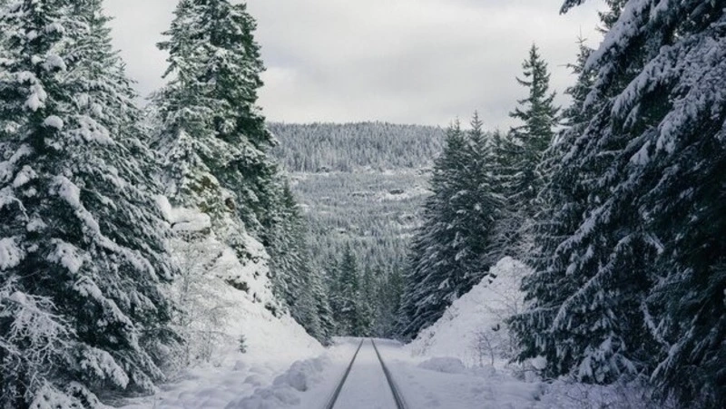 Снег и до -5 градусов: прогноз погоды в Южно-Сахалинске на 4 февраля 