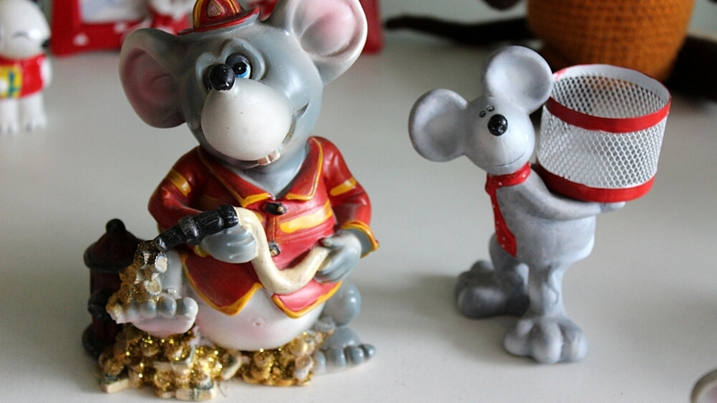 В сахалинском Музее медведя «поселились» мышки