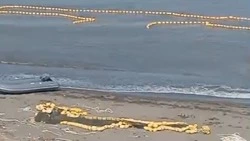 «Уйковые разборки»: жителям Томари не дают добывать рыбу сачком, несмотря на официальное разрешение