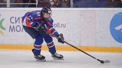 «Сахалинские Акулы» сразятся с «Амурскими Тиграми» 17 ноября в Южно-Сахалинске