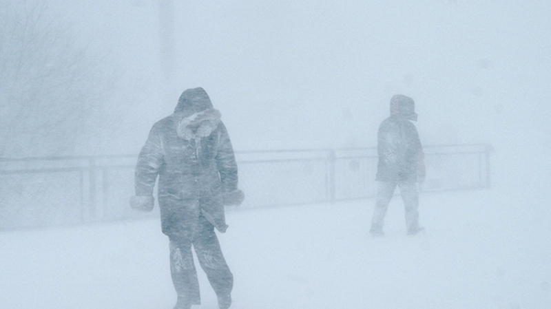 Синоптики спрогнозировали пик урагана на Сахалине