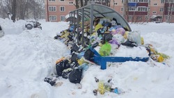 SKR-SOS: ищем самый захламленный мусором двор на Сахалине