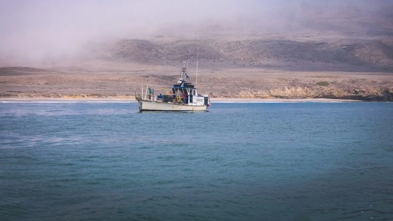 На Дальнем Востоке затонуло краболовное судно