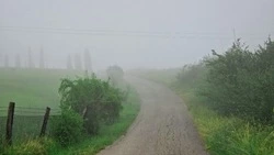 Дождь, туман и до +28 градусов ждет жителей Сахалинской области 19 июля