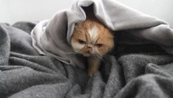 Село и микрорайоны Южно-Сахалинска останутся без отопления 30 декабря