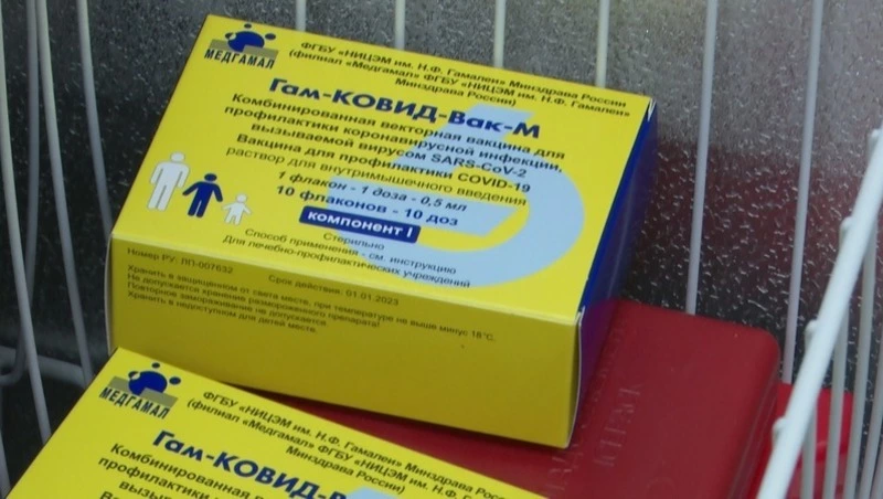 Стало известно, когда на Сахалин поступит вторая партия вакцины «Спутник М»