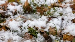 Мороз на Сахалине и снегопад на Курилах спрогнозировали синоптики 15 ноября 