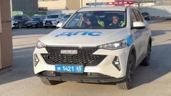 Душевные поздравления с Днем ГАИ 2025: что сказать коллегам и близким инспекторам