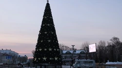 Новогодние елки начали устанавливать на главных площадях Южно-Сахалинска. Фоторепортаж