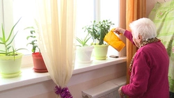 Постояльцы сахалинского дома-интерната «Доброта» играют в «Эрудит» и смотрят вебинары