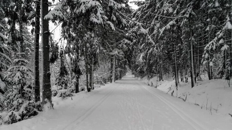 Циклон порадовал только сахалинских лыжников