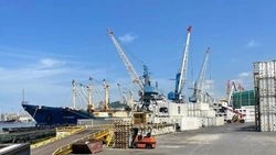 Россельхознадзор оформил на экспорт 29 тысяч тонн сахалинской и приморской рыбы