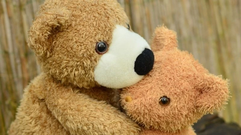 Сына попавшей в авиакатастрофу на Сахалине пары поместили в социальный центр