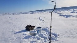 Сахалинцы устраивают себе рыбные уикенды