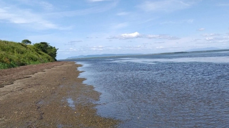 Тонкости японского лова