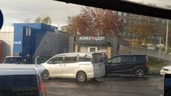 Лебедя встретили на крыше магазина в Корсакове