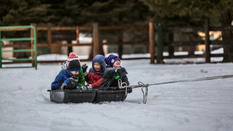 Родителям на Сахалине напомнили о безопасности детей в январские каникулы-2023