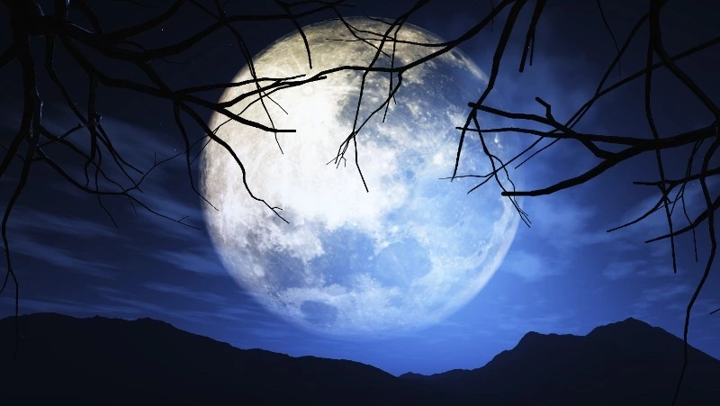 Черное Новолуние во Льве 16 августа: перезагрузка случится у 5 знаков зодиака