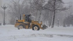 Порывистый ветер, пурга и снег обрушатся на Сахалинскую область 16 января