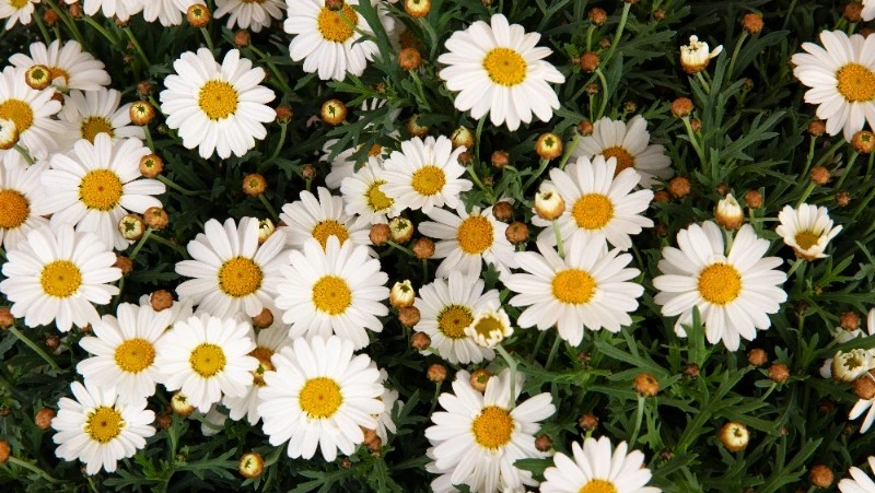 Церковный праздник 15 мая 2023: что нельзя делать в этот день, приметы