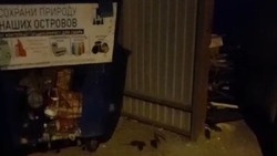 Крысы устроили банкет на контейнерной площадке в Южно-Сахалинске