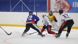 Спортсмены из Китая выступят на всероссийском турнире по мини-хоккею с мячом на Сахалине