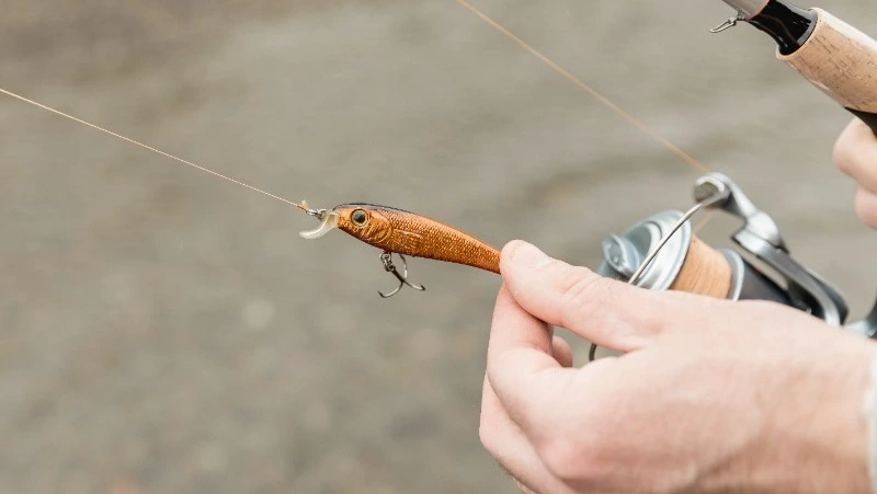 Жителям Сахалина за браконьерство суд назначил штраф свыше 770 тысяч рублей