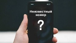 МВД предупредило жителей Сахалина о мошенничествах в связи с мобилизацией