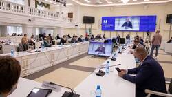 Сахалинские депутаты похвалили бюджет на три года за социальную направленность