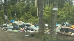 Горы мусора образовались в одном из СНТ Сахалина из-за забывчивости председателя