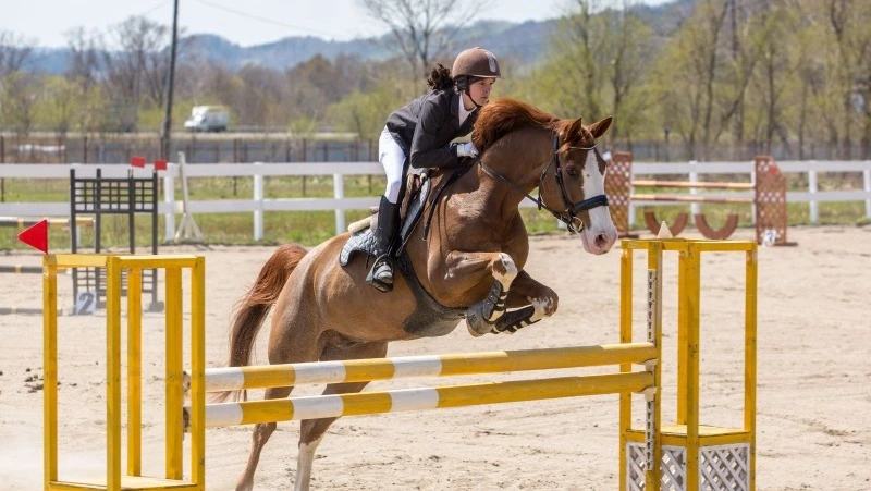 На Сахалине подвели итоги региональных соревнований по конкуру